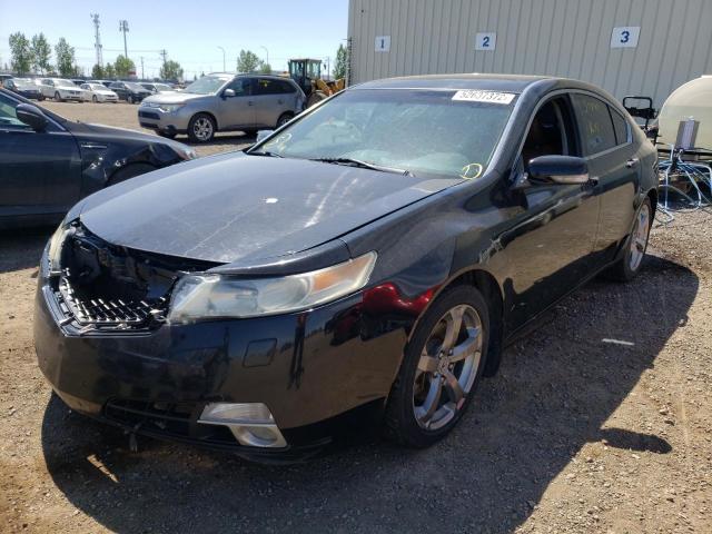 Photo 2 from auction – 2009 ACURA TL with VIN 19UUA96519A800532