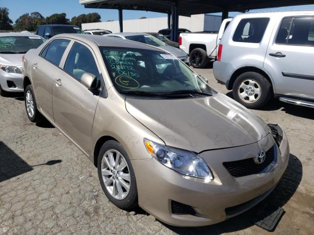 TOYOTA COROLLA BA 2010 with VIN 2T1BU4EE6AC357053 - Photo from auction