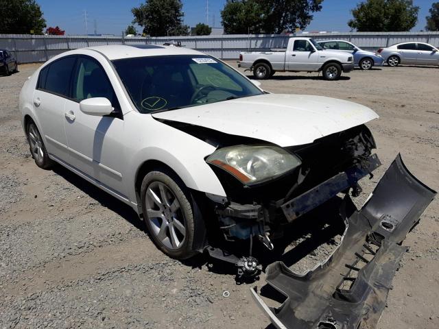 NISSAN MAXIMA SE 2008 with VIN 1N4BA41E08C835863 - Photo from auction