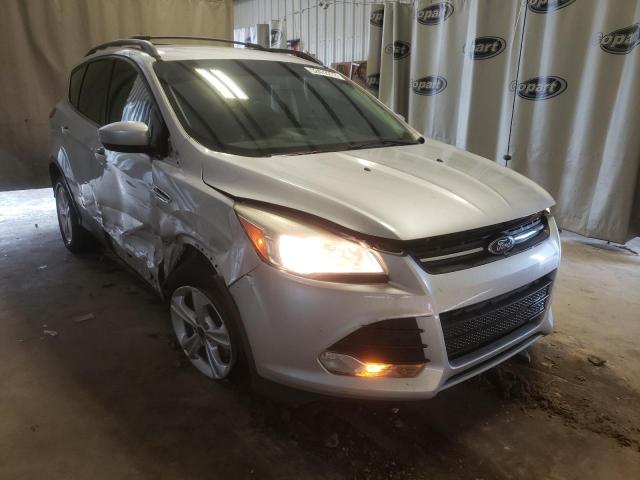 FORD ESCAPE SE 2013 with VIN 1FMCU0GX6DUD24410 - Photo from auction