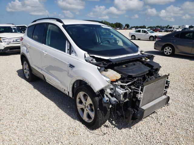 FORD ESCAPE SE 2014 with VIN 1FMCU0G9XEUC04466 - Photo from auction