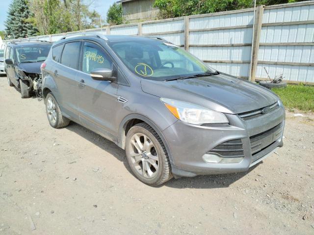 FORD ESCAPE TIT 2014 with VIN 1FMCU9J9XEUD89146 - Photo from auction