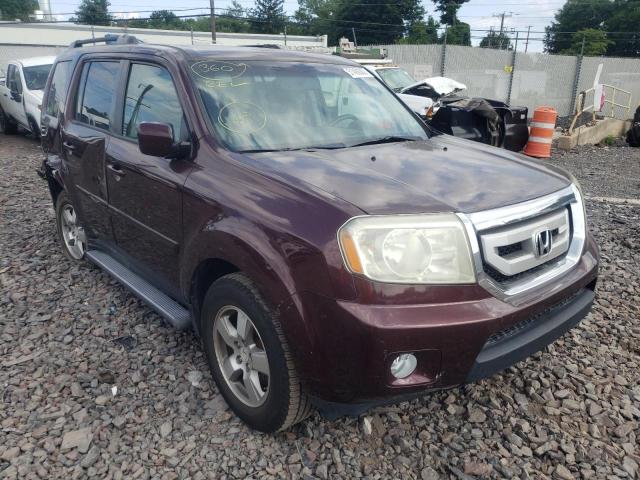 HONDA PILOT EXL 2011 with VIN 5FNYF4H62BB008087 - Photo from auction