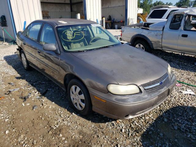 CHEVROLET MALIBU 2002 with VIN 1G1ND52J72M533500 - Photo from auction