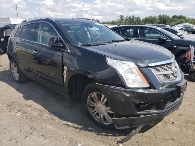 CADILLAC SRX LUXURY 2011 with VIN 3GYFNAEY2BS646419 - Photo from auction