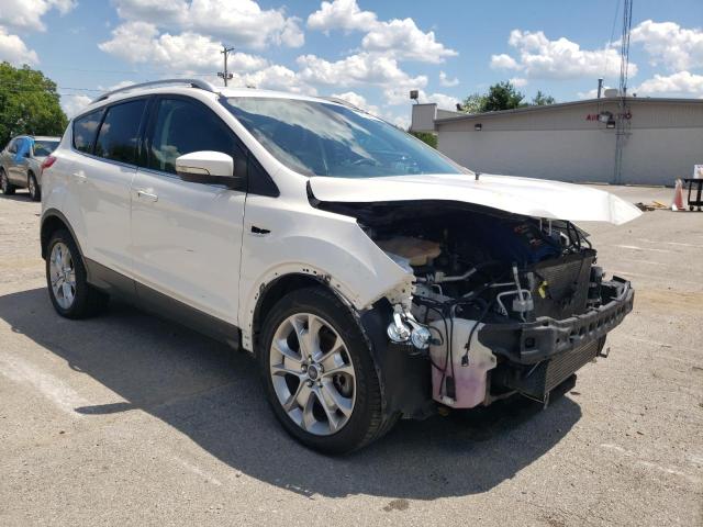 FORD ESCAPE TIT 2014 with VIN 1FMCU9J9XEUD93052 - Photo from auction