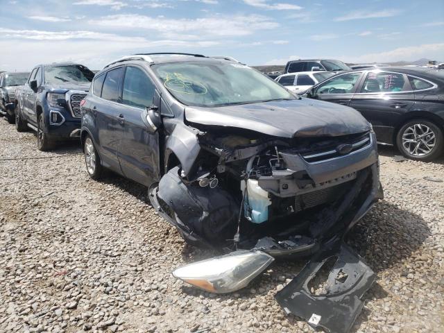 FORD ESCAPE TIT 2013 with VIN 1FMCU0J91DUD86307 - Photo from auction