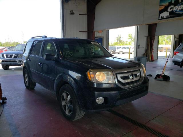 HONDA PILOT EX 2011 with VIN 5FNYF4H43BB051304 - Photo from auction