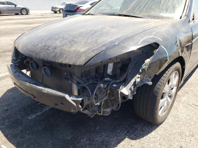 Photo 9 from auction – 2010 HONDA ACCORD EXL with VIN 1HGCP3F8XAA025461
