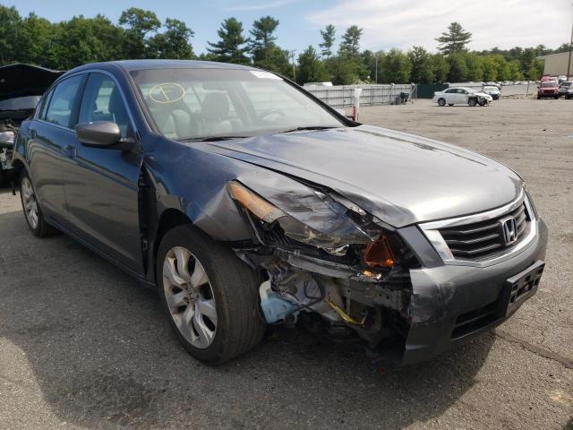 HONDA ACCORD EXL 2010 with VIN 1HGCP2F85AA013695 - Photo from auction