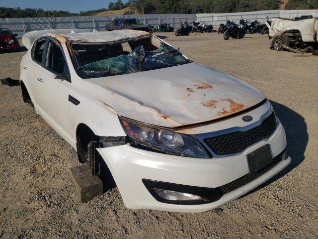 KIA OPTIMA LX 2013 with VIN KNAGM4A74D5358200 - Photo from auction