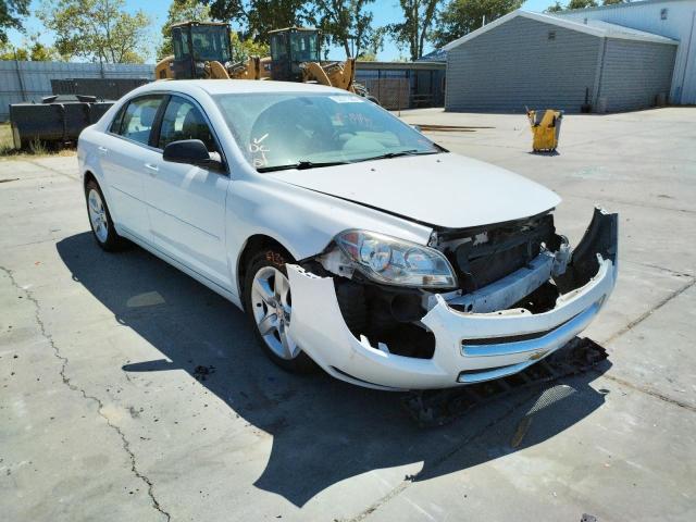 CHEVROLET MALIBU LS 2012 with VIN 1G1ZA5EU9CF365168 - Photo from auction