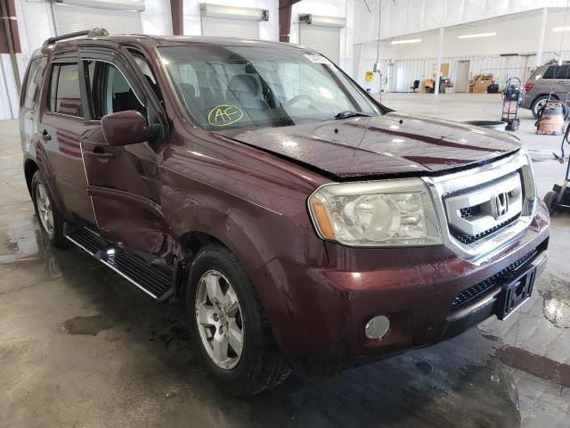 HONDA PILOT EX 2011 with VIN 5FNYF4H43BB059113 - Photo from auction
