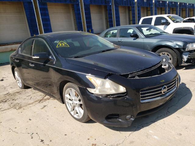 NISSAN MAXIMA S 2009 with VIN 1N4AA51E79C854980 - Photo from auction