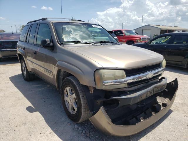 CHEVROLET TRAILBLAZE 2002 with VIN 1GNDS13S922449738 - Photo from auction