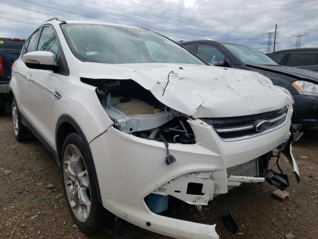 FORD ESCAPE TIT 2014 with VIN 1FMCU0J90EUA62427 - Photo from auction