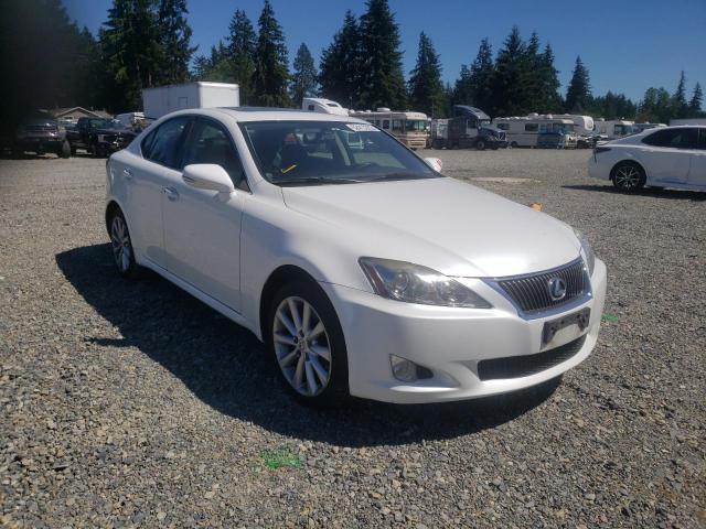 LEXUS IS 250 2009 with VIN JTHCK262692030812 - Photo from auction