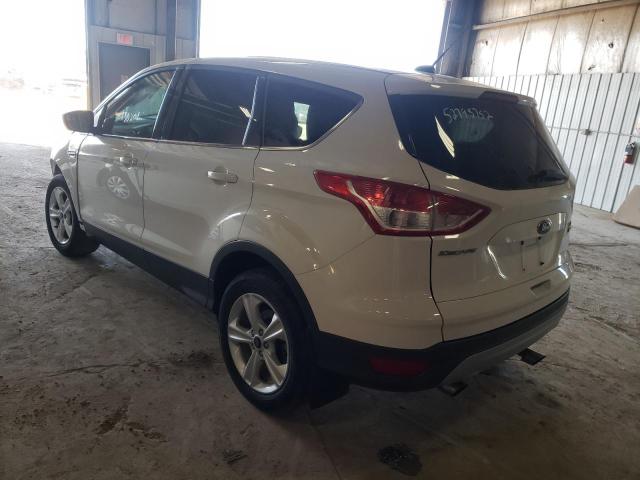 Photo 3 from auction – 2013 FORD ESCAPE SE with VIN 1FMCU0GX4DUC04413