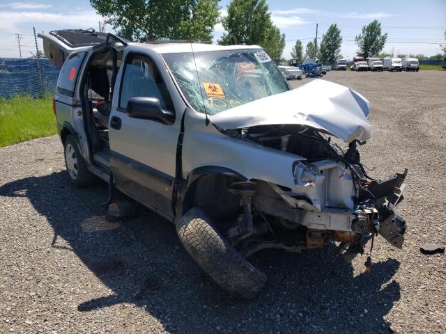 CHEVROLET UPLANDER L 2007 with VIN 1GNDU23197D217143 - Photo from auction