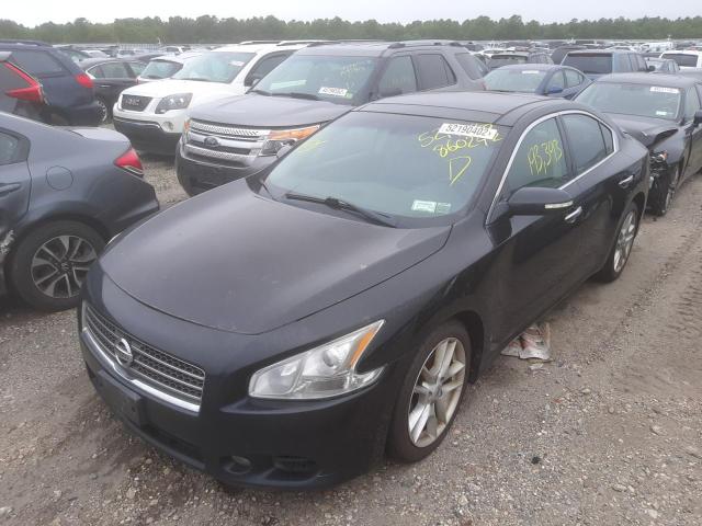 Photo 2 from auction – 2010 NISSAN MAXIMA S with VIN 1N4AA5AP4AC860242