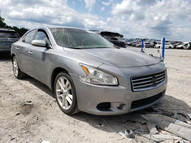 NISSAN MAXIMA S 2009 with VIN 1N4AA51E19C818671 - Photo from auction