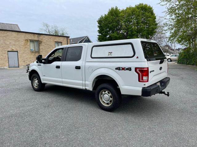 Photo 3 from auction – 2015 FORD F150 SUPER with VIN 1FTEW1EG4FKD72194