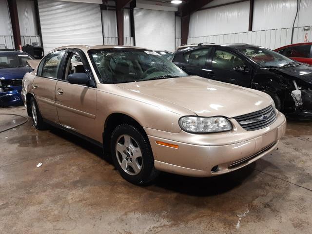 CHEVROLET MALIBU 2004 with VIN 1G1ND52F34M645368 - Photo from auction