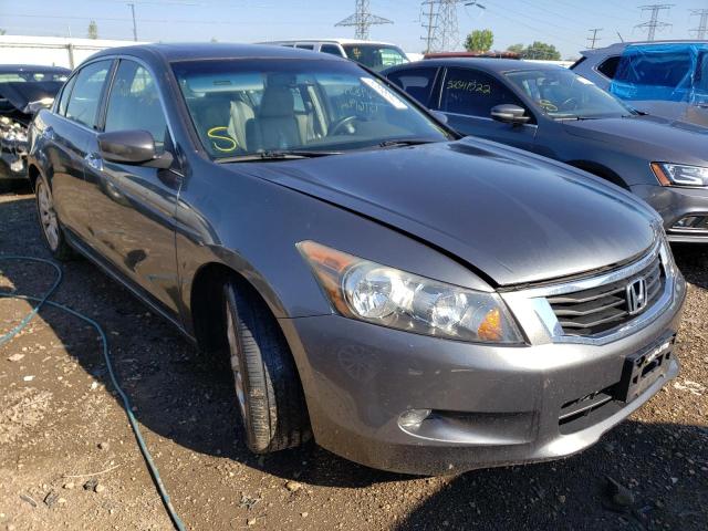 HONDA ACCORD EXL 2010 with VIN 1HGCP3F82AA004040 - Photo from auction
