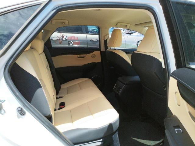 Photo 6 from auction – 2021 LEXUS NX 300 BAS with VIN JTJDARBZ3M5026161
