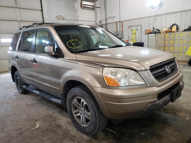HONDA PILOT EXL 2005 with VIN 2HKYF18535H502664 - Photo from auction