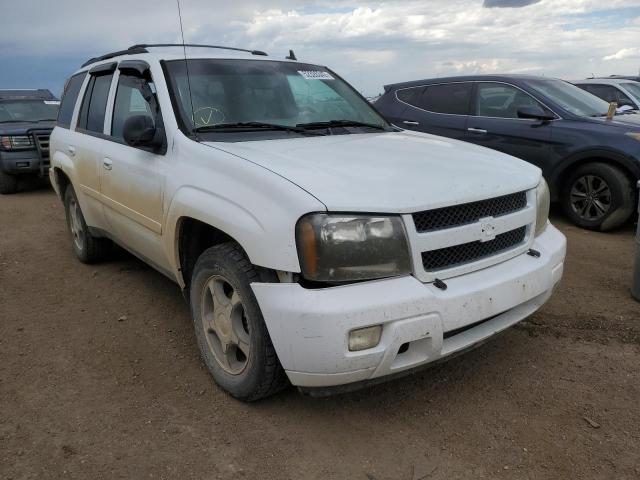 Photo 1 from auction – 2008 CHEVROLET TRAILBLAZE with VIN 1GNDT13S982153012