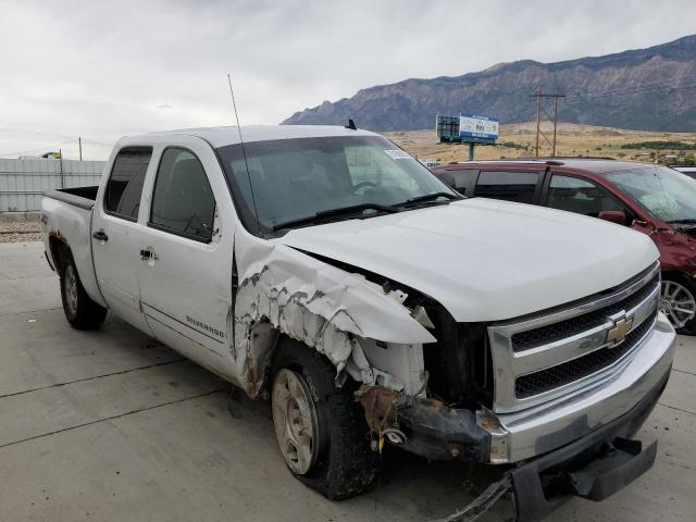 CHEVROLET SILVERADO 2008 with VIN 2GCEK133981260506 - Photo from auction