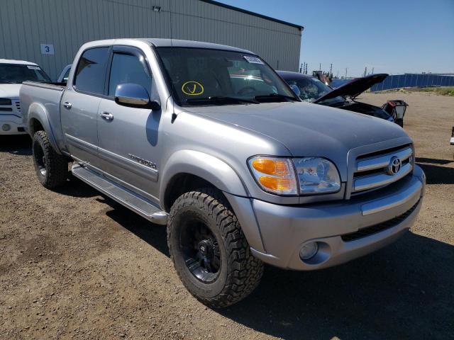 TOYOTA TUNDRA DOU 2004 with VIN 5TBDT44184S446010 - Photo from auction