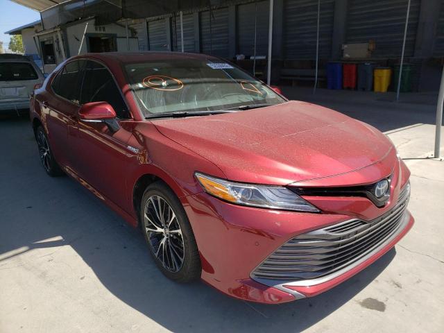 TOYOTA CAMRY XLE 2020 with VIN 4T1F31AK7LU545984 - Photo from auction