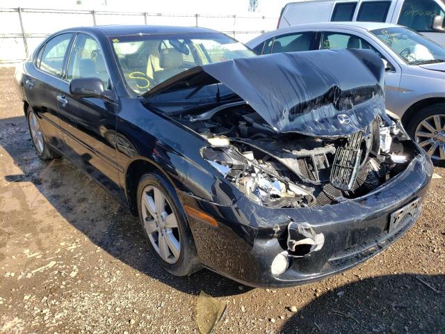 LEXUS ES330 2005 with VIN JTHBA30G055078999 - Photo from auction