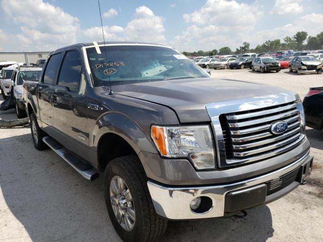 FORD F150 SUPER 2011 with VIN 1FTFW1ETXBFD17253 - Photo from auction