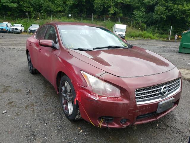 NISSAN MAXIMA S 2009 with VIN 1N4AA51EX9C860949 - Photo from auction