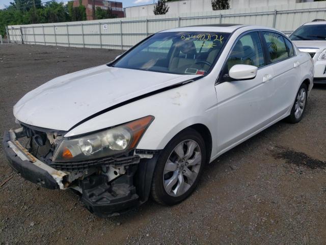 Photo 2 from auction – 2010 HONDA ACCORD EXL with VIN 1HGCP2F83AA049305