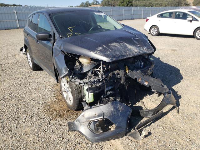 Photo 1 from auction – 2017 FORD ESCAPE SE with VIN 1FMCU0GD8HUF08825