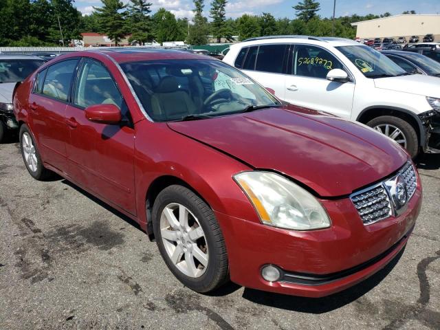 NISSAN MAXIMA SE 2004 with VIN 1N4BA41E24C883813 - Photo from auction
