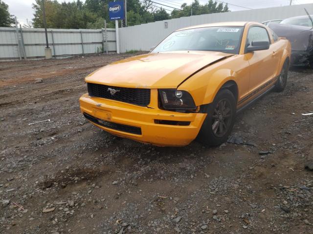 Photo 2 from auction – 2008 FORD MUSTANG with VIN 1ZVHT80N885206988