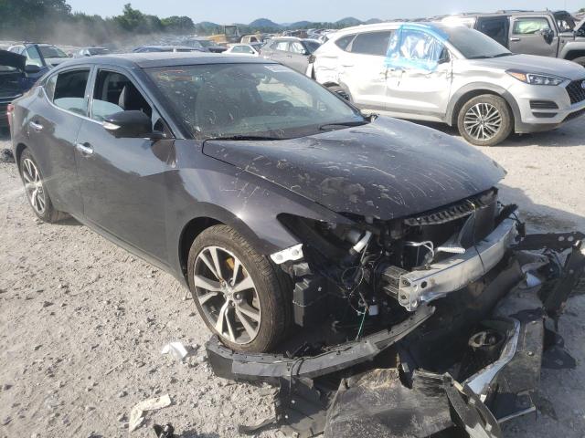 NISSAN MAXIMA 3.5 2017 with VIN 1N4AA6AP1HC364380 - Photo from auction