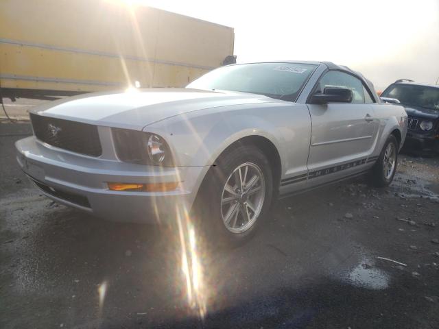 Photo 2 from auction – 2005 FORD MUSTANG with VIN 1ZVFT84N855186979
