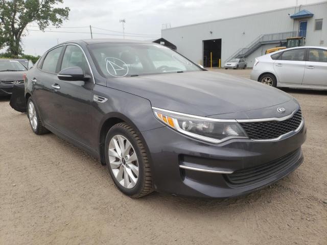 KIA OPTIMA LX 2016 with VIN 5XXGT4L31GG006627 - Photo from auction