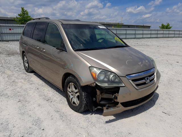 HONDA ODYSSEY EX 2005 with VIN 5FNRL38695B403962 - Photo from auction