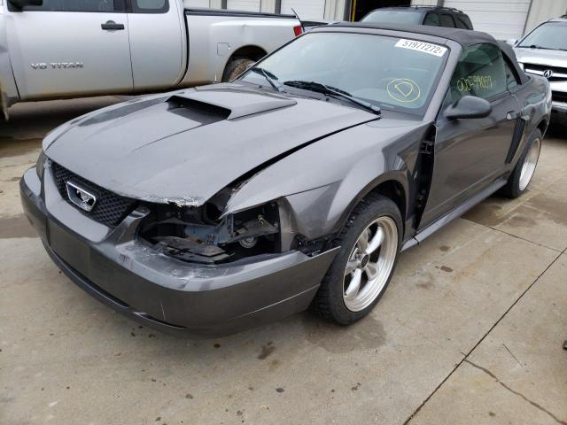 Photo 2 from auction – 2003 FORD MUSTANG GT with VIN 1FAFP45X83F356643