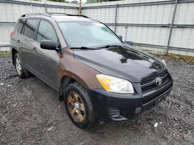 TOYOTA RAV4 2010 with VIN JTMBF4DV8AD033469 - Photo from auction