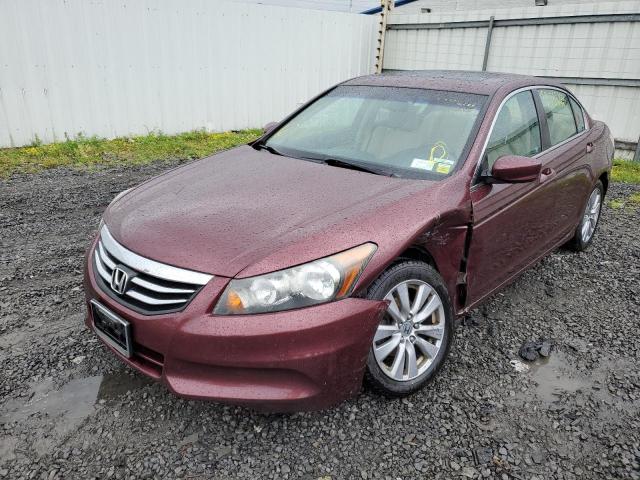 Photo 2 from auction – 2012 HONDA ACCORD EXL with VIN 1HGCP2F82CA039223