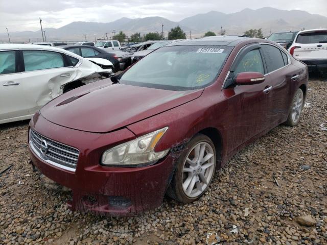 Photo 2 from auction – 2010 NISSAN MAXIMA S with VIN 1N4AA5AP9AC825602