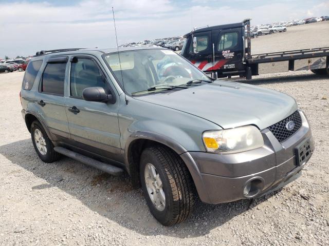 FORD ESCAPE XLT 2006 with VIN 1FMYU93196KB09310 - Photo from auction